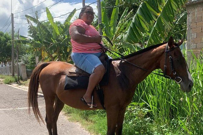 Private Horseback Riding from Ocho Rios with Guide - The Real Value of This Tour