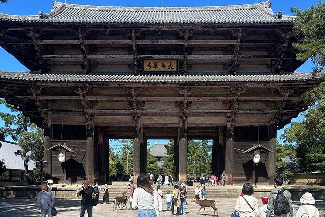 Private Kyoto Nara Customized Day Tour With English Guide & Veh - Final Thoughts: Is It Worth It?
