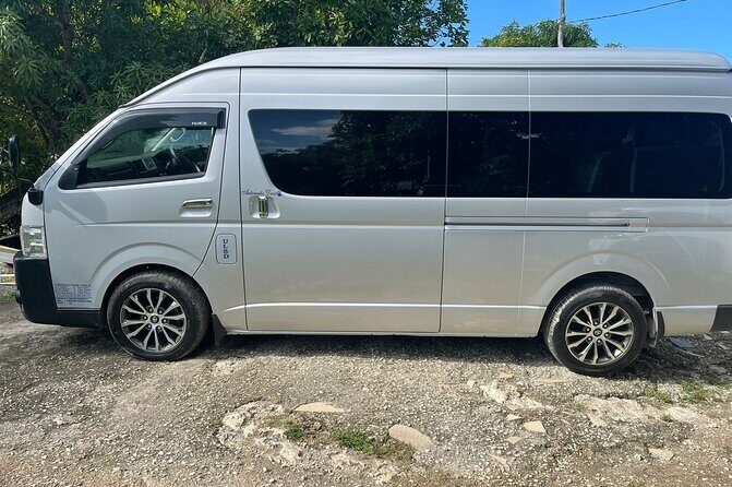 Private Montego bay Airport Transfer To Negril - Deep Dive into the Experience