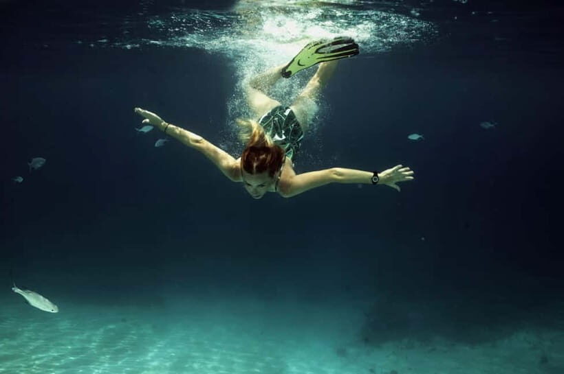 Private Snorkeling with Turtles in the Maldives - What the Reviews Say