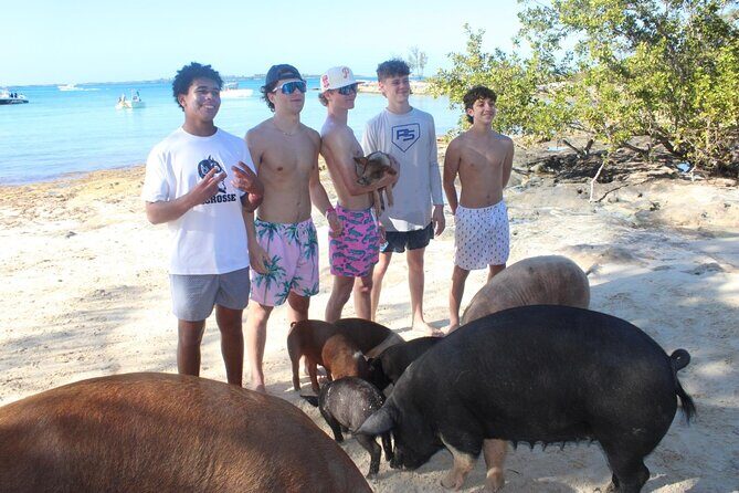 Private speed boat beach and bar hopping visiting Rose island - Practical Details for Your Trip