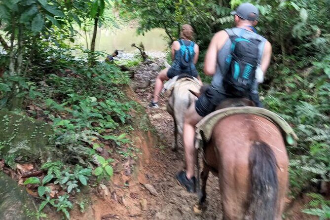 Private Tour in Miches with La Jarda Waterfall Experience - What Travelers Are Saying