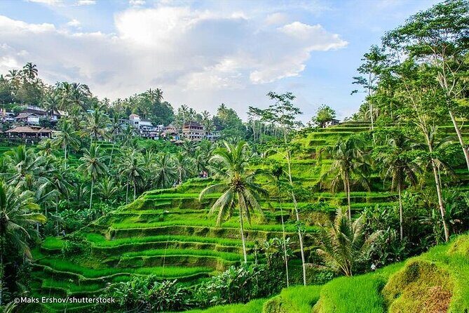 Private Tour : Mt. Batur View, Rice Terrace, Waterfall & More. - In-Depth Look at the Itinerary