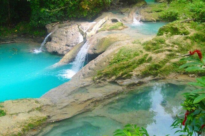 Private Tour to Dunns River and Blue Hole from Montego Bay - Authentic Experiences and Insights from Guests