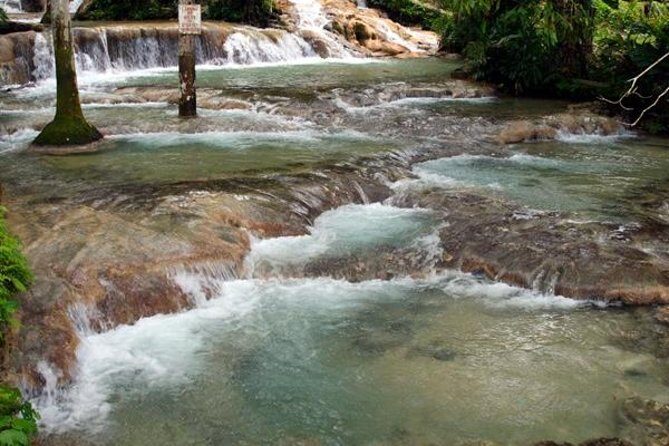 Private Tour to Dunn's River Falls From Ocho Rios - Why This Tour Stands Out