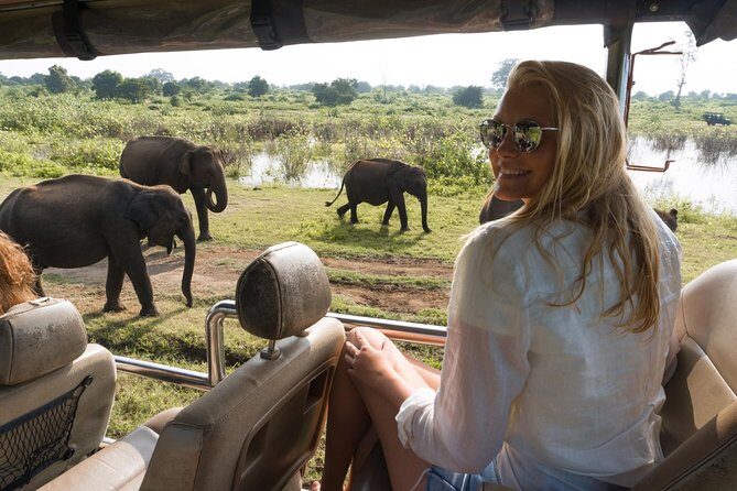Private Tour: Udawalawe National Park Safari - The Guide and Vehicle: The Heart of the Experience