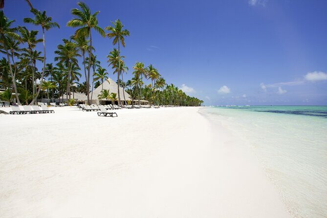 Private Transfer Punta Cana Airport to/from Barcelo Bavaro Beach - Authentic Experiences and Highlights from Reviews