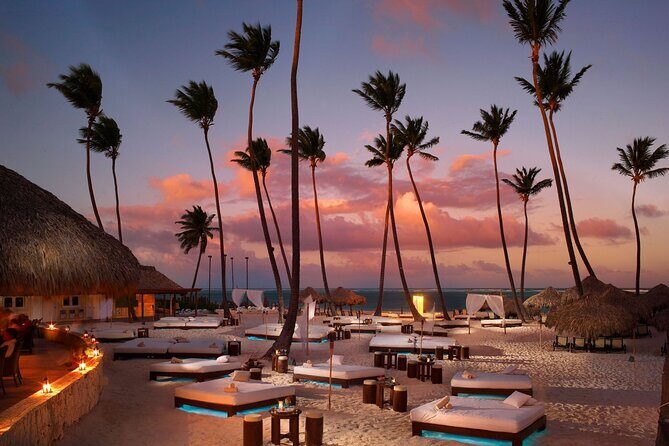 Private Transfer Punta Cana Airport to/from Paradisus Palma Real - Review Highlights and Authentic Perspectives