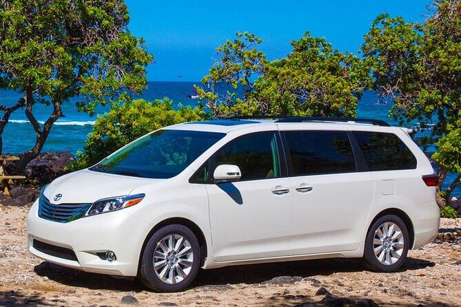 Private Transfer Punta Cana Airport to/from Riu Palace Bavaro - Why This Transfer Offers Value