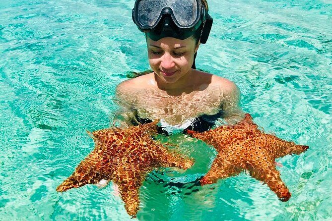 PRIVATE VIP tour Saona Island with Snorkeling, Starfish, Turtles - Logistics & Pricing: Is It Worth It?
