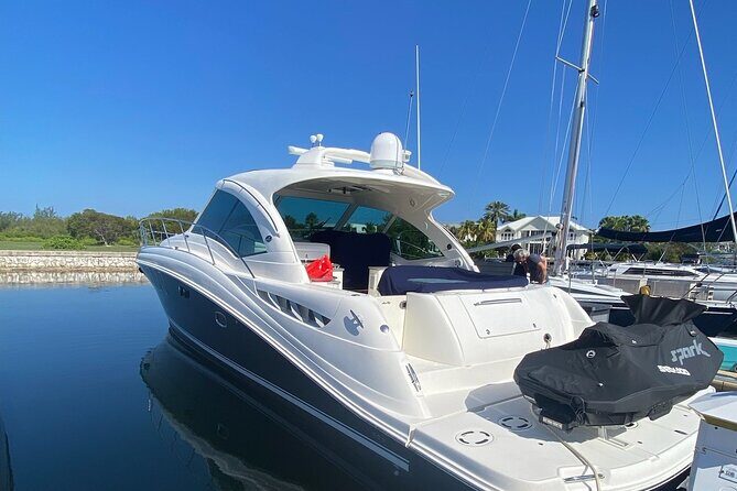 Private Yacht 48 ft Sting Ray City, Snorkel & Starfish Beach - The Value: Price and Inclusivity