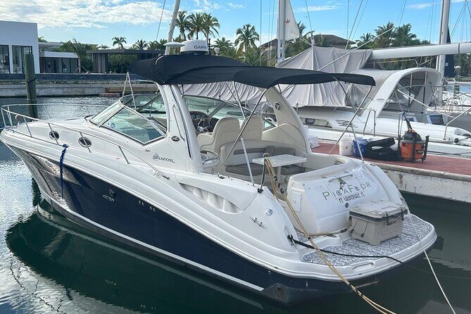 Private Yacht for Excursions in Punta Cana, Snorkeling and Booze - The Sum Up: Who Should Consider This Yacht Tour?