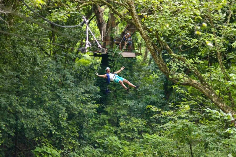 Puerto Plata/Amber Cove: Zipline and Waterfalls with Lunch - What Travelers Say About This Tour