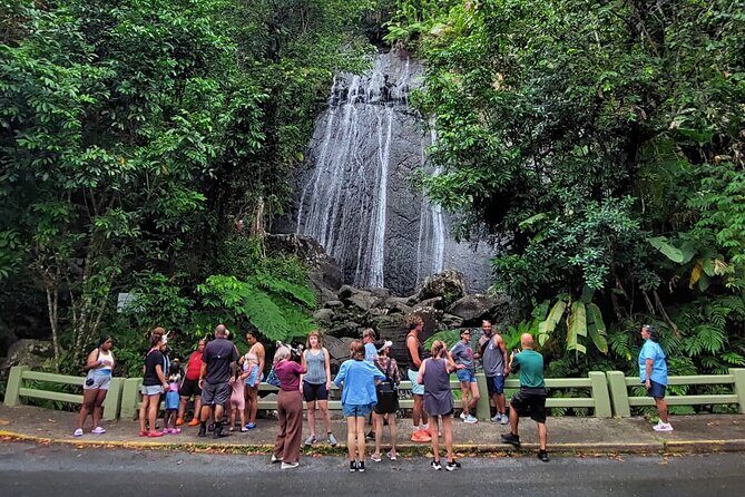 Puerto Rico: El Yunque Sightseeing Half-Day Tour w/Transfer - Transportation & Timing