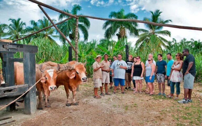 Punta Cana: Bavaro Runners Safari Tour - What to Expect on the Tour