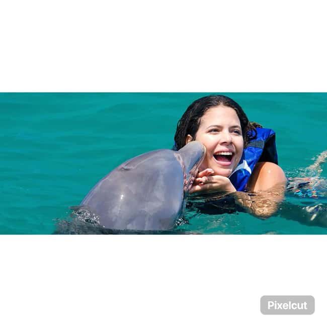 Punta Cana: Dolphin Park Entry and Swim with Dolphins - Drawbacks to Consider