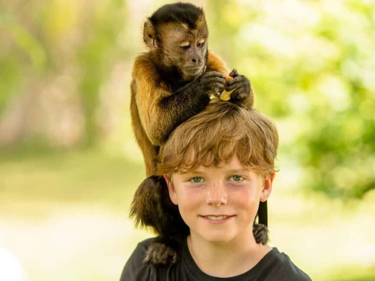 Punta Cana: Monkey Adventure by Jhoraji With Hotel Pick-Up - Who Will Love This Tour?