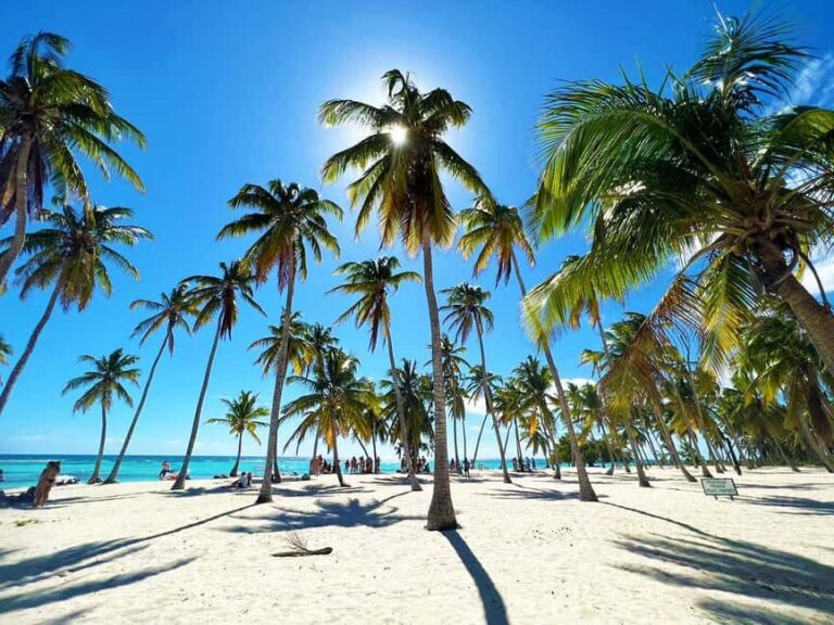 Punta Cana: Saona Island Premium 3 beaches - Exploring Saona Island: The Highlights
