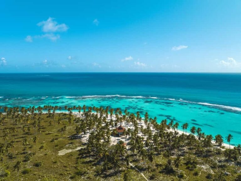 Punta Cana: Three Treasures of Saona - Palmilla, Pueblo & Canto de la playa - What Makes This Tour Stand Out?
