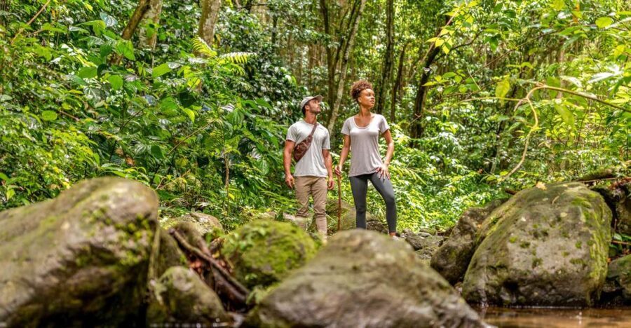 Rainforest Adventure - The Experience and Its Value