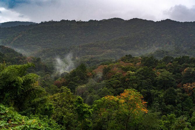 Rainforest Tour - Who Should Consider This Tour?