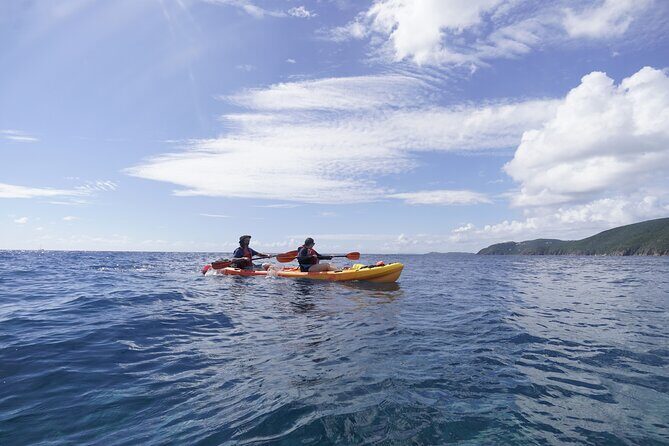 Reef and Turtle Adventure - Kayak and Snorkel Tour - Who Will Love This Tour?