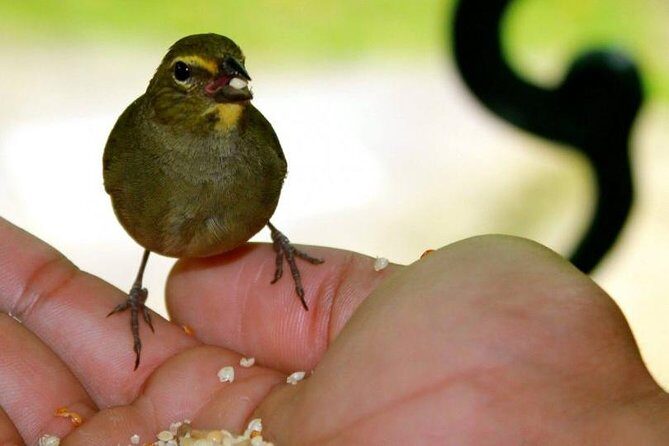 Rockland Bird Sanctuary Tour [Transportation] Hotel Pick-Up - The Value of the Experience
