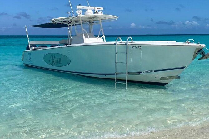 Rose Island Swimming Pigs - Detailed Breakdown of the Itinerary