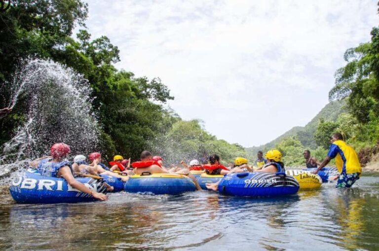 Roseau: Wacky River Tubing Safari - The Itinerary Breakdown