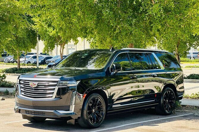 ROUNDTRIP Bavaro/Punta Cana AREA - PUJ Airport - LUXURY SERVICE - The Booking and Ride Experience