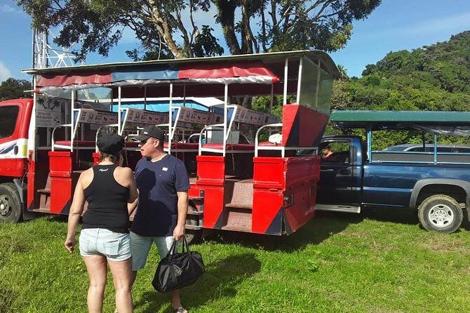 Safari Extravaganza - What Travelers Say: Authentic Experiences and Honest Feedback