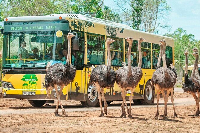 Safari Phu Quoc Ticket With Roundtrip Transfer - Inside the Park: What Can You Expect?