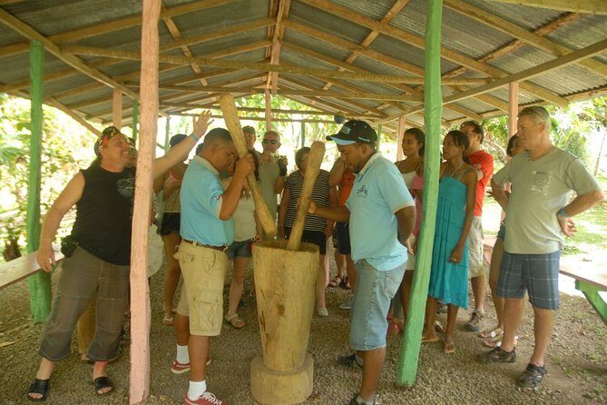 Safari Tour from Punta Cana - Itinerary Breakdown: What You’ll Experience