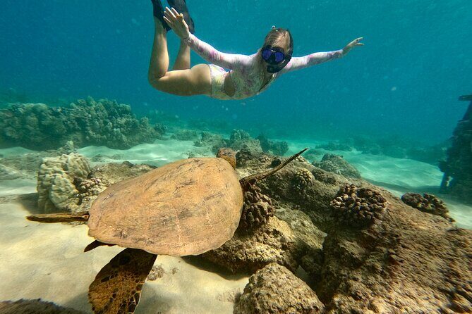 San Juan Guided Snorkel With Turtles Tour and Videos - Discovering the Underwater World of San Juan