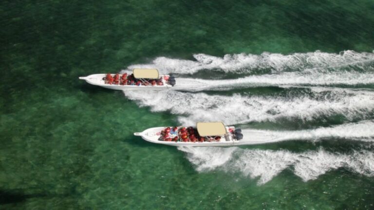 Saona Island All Inclusive Tour - What You Can Expect at Each Stop