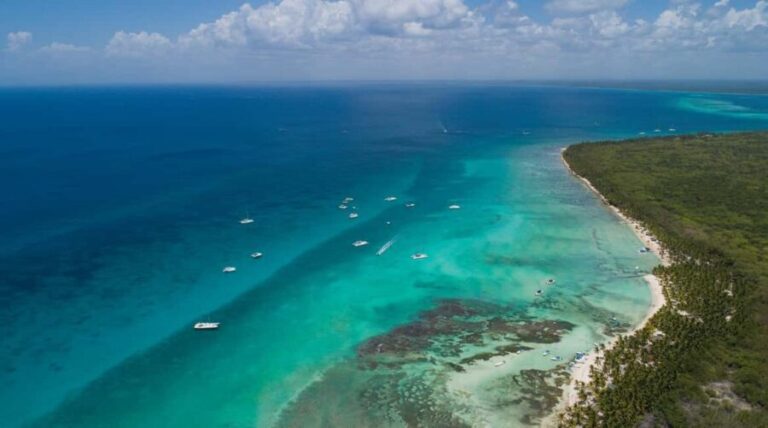 Saona Island Comfort Experience by Catamaran - Time on Saona Island: Playa Taino