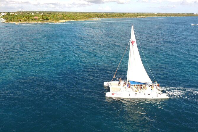 Saona Island Excursion - From Bayahibe - What Travelers Are Saying: Highlights and Concerns