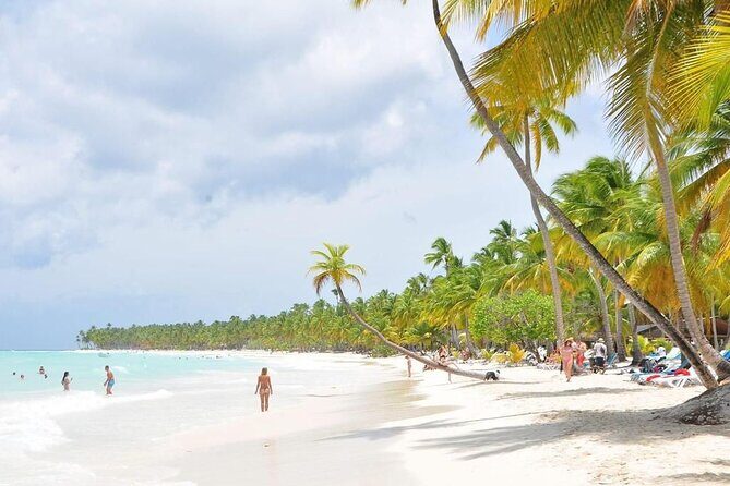 Saona Island from Punta Cana with Transportation and Lunch Included - An In-Depth Look at the Tour Experience