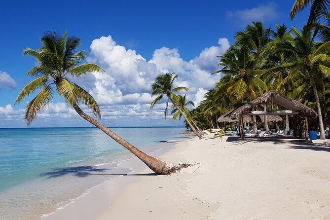 Saona Island Tour from Juan Dolio with pickup - Who should consider this tour?