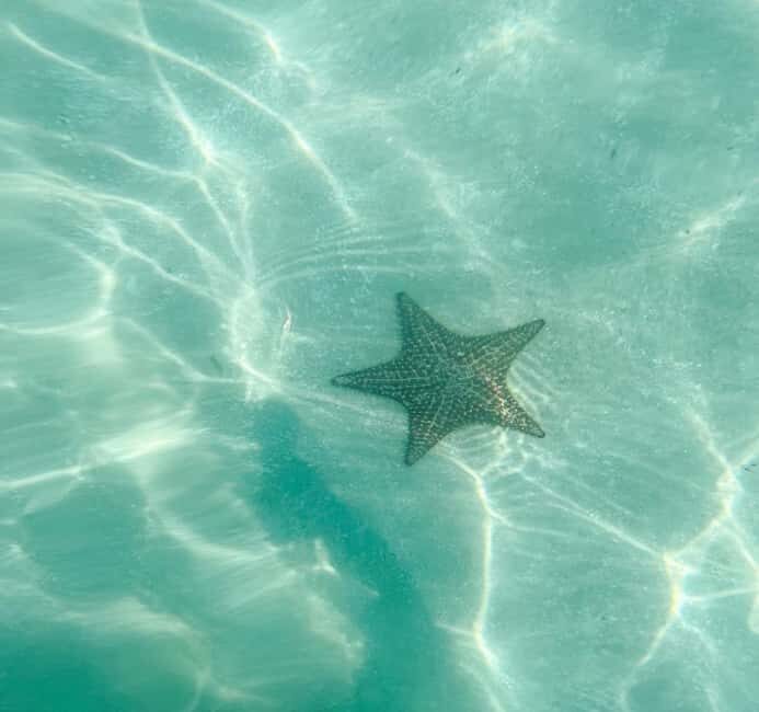 Saona Island VIP: 4 Beaches , Mano Juan & Canto de la Playa - Real Experiences from Travelers