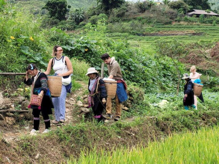 Sapa: Discover the Secrets of Red Dao herbal bath - What Sets This Tour Apart