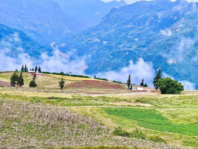 Sapa: Ta Phin Village Trek with Lunch and Bathing Experience - What Travelers Can Expect