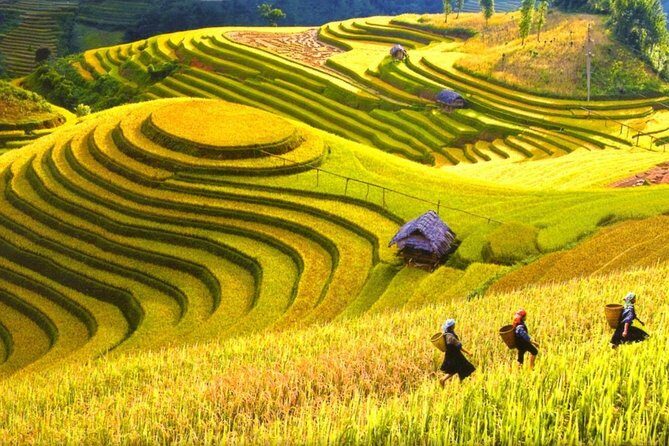 Sapa Trekking Tours - 2 Days 1 Night Stay At Homestay - What’s Included and What’s Not