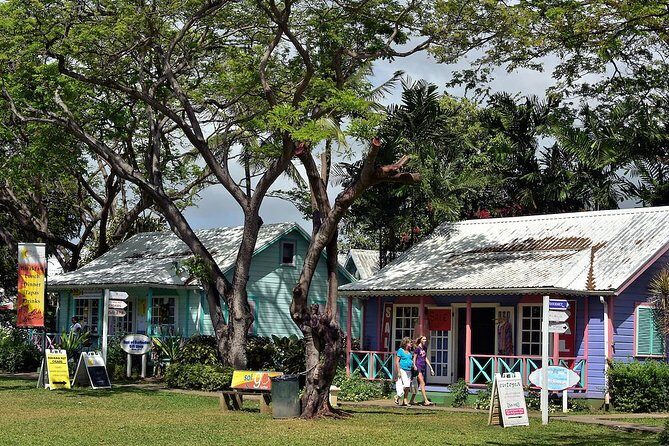 Scenic Barbados Coast To Coast Half-Day Tour - Who Would Love This Tour?