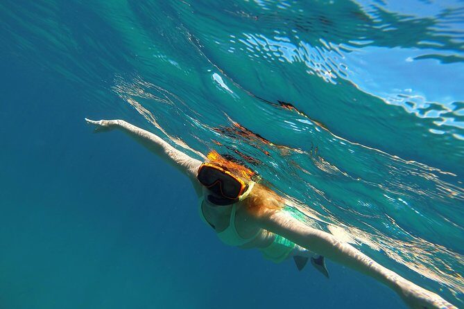 Scenic Speed-Boat Snorkel Tour - Analyzing the Value