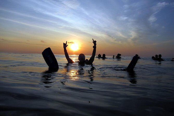 Scuba Diving Kata Beach Night Dive for Certified Divers - Discovering Kata Beach Night Diving: What to Expect