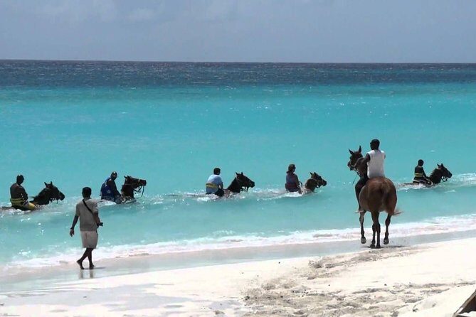 Secret Falls, Blue Hole, and Horseback Riding from Ocho Rios - What Reviewers Say