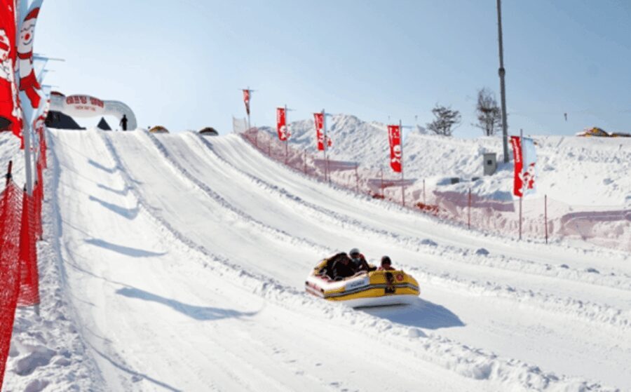Seoul: SnowyLand in Vivaldi Park with Nami or Alpaca - The Choice: Nami Island or Alpaca World?