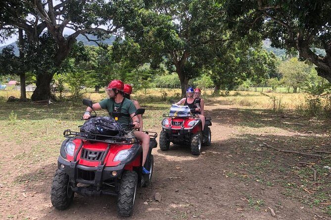 Shore Excursion: V.I.P. DayPass: ATV, Zip Lines, Horseback Riding & Lunch - Authenticity & Safety: What Travelers Say