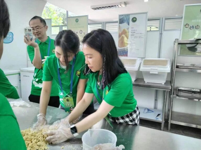 Sichuan: Big Panda Volunteer Day tour - What’s Included and Practical Considerations